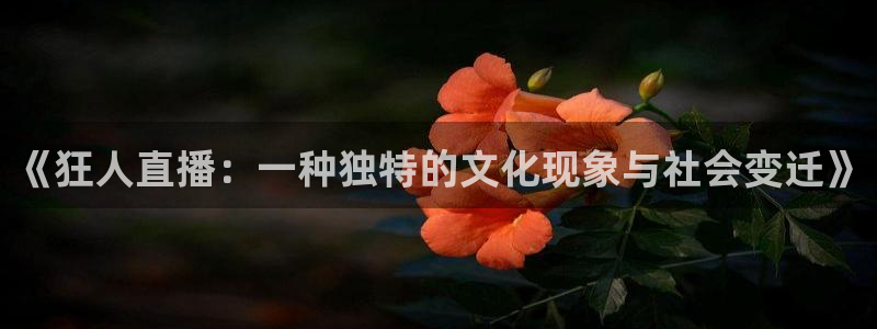 蓝鲸体育足球免费观看：《狂人直播：一种独特的文化现象与社会变迁》