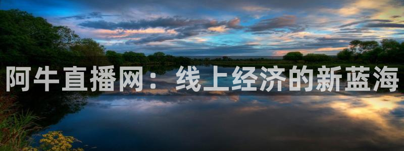 蓝鲸影视：阿牛直播网：线上经济的新蓝海