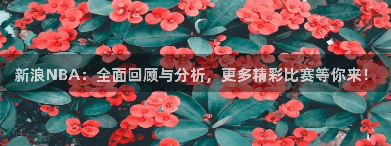 蓝鲸直播app官方：新浪NBA：全面回顾与分析，更多精彩比赛等你来！