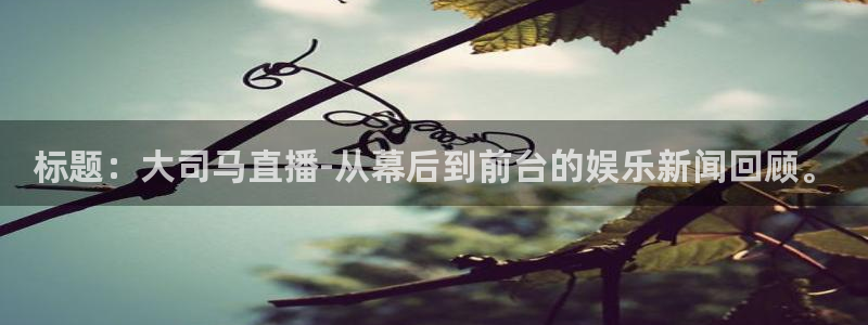 蓝鲸直播足球直播：标题：大司马直播-从幕后到前台的娱乐新闻回顾。