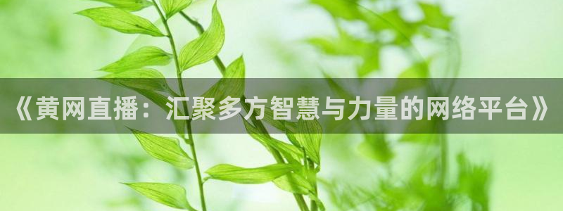 蓝鲸直播体育：《黄网直播：汇聚多方智慧与力量的网络平台》