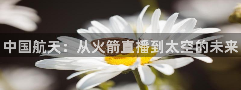 蓝鲸直播体育app下载手机版：中国航天：从火箭直播到太空的未来