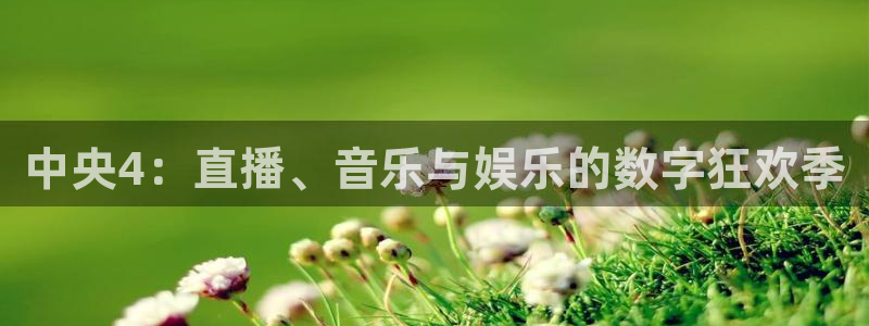 蓝鲸体育下载app：中央4：直播、音乐与娱乐的数字狂欢季