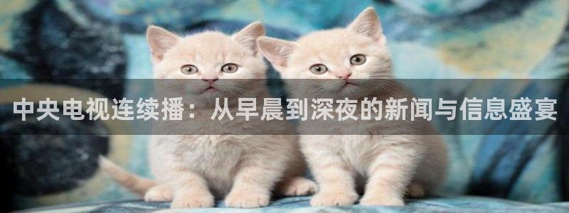 蓝鲸体育直播在线观看免费高清：中央电视连续播：从早晨到深夜的新闻与信息盛宴