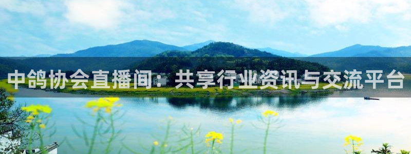 蓝鲸同志直播：中鸽协会直播间：共享行业资讯与交流平台