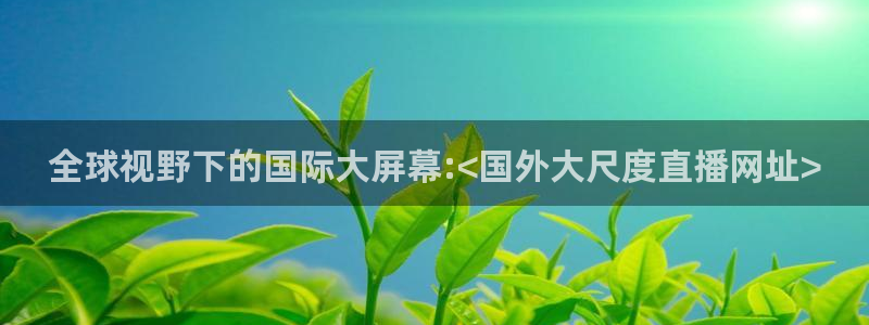 蓝鲸体育在线足球直播：全球视野下的国际大屏幕:<国外大尺度直播网址>