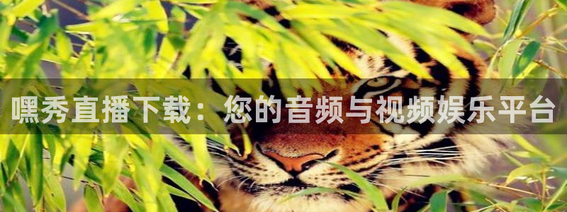 蓝鲸直播体育app下载手机版：嘿秀直播下载：您的音频与视频娱乐平台